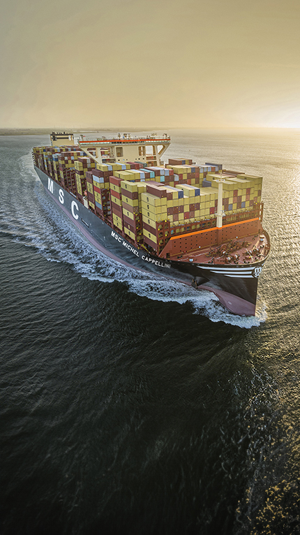 msc michelle cappellini